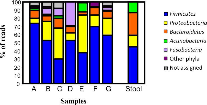 FIG 2 