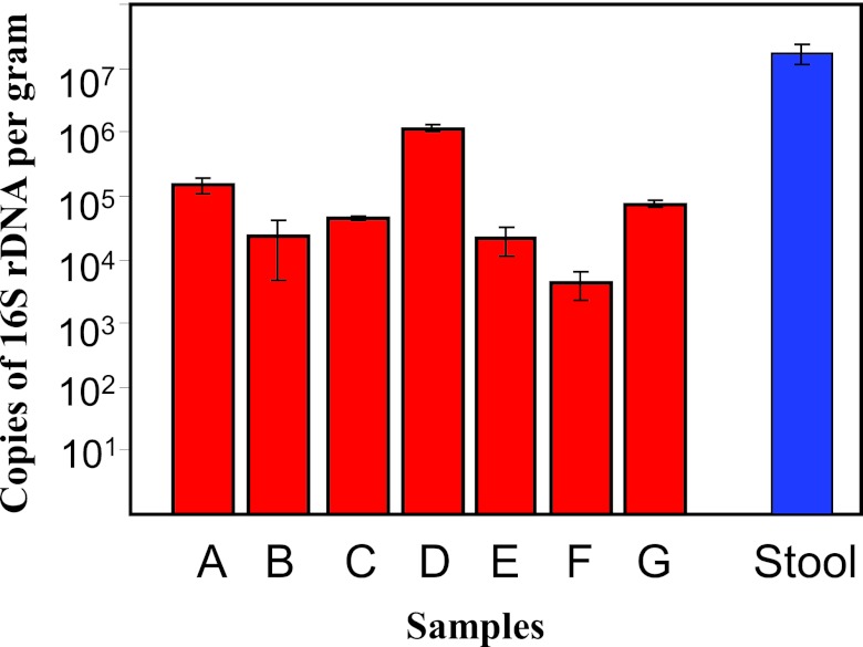 FIG 1 