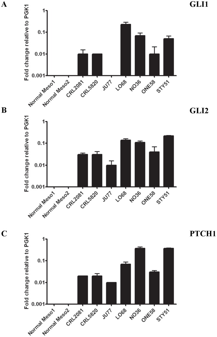 Figure 2