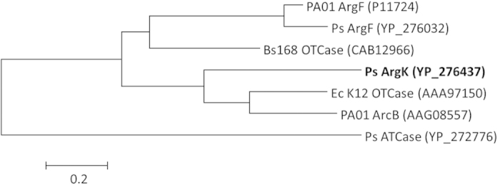 Figure 7