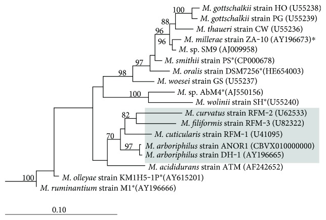 Figure 2