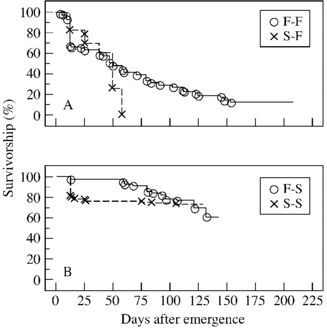 graphic file with name mcg002f3.jpg