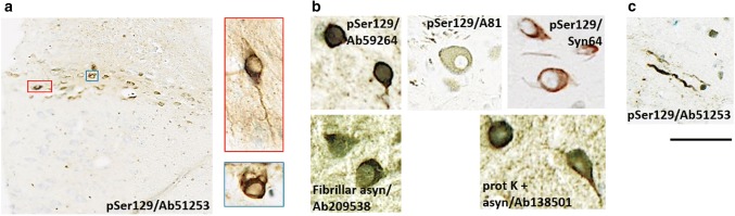 Fig. 3