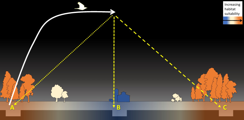 Fig. 2