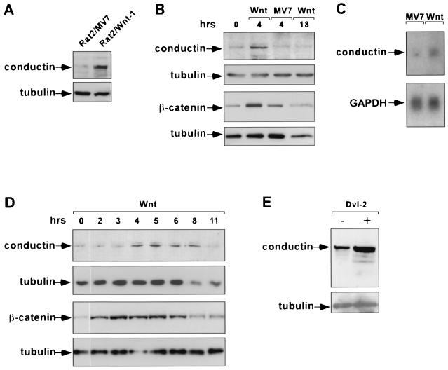 FIG. 5.