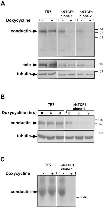 FIG.4.