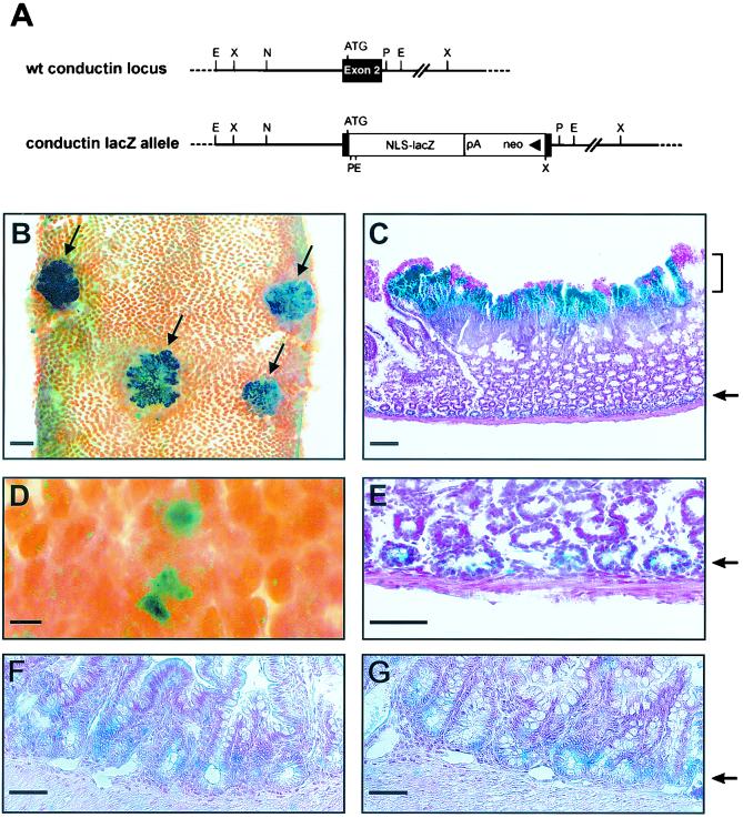 FIG. 6.