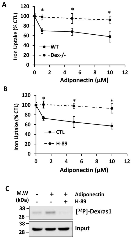 Figure 5