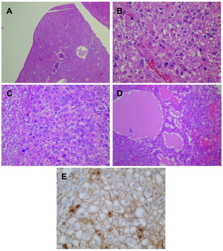 Figure 2.