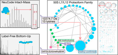 graphic file with name nihms913797u1.jpg