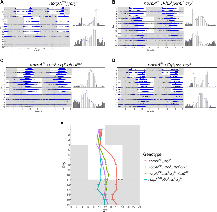 Figure 2