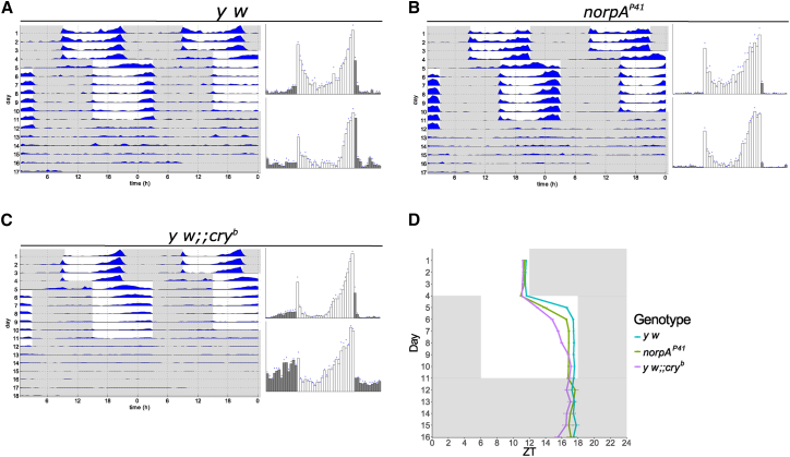 Figure 1