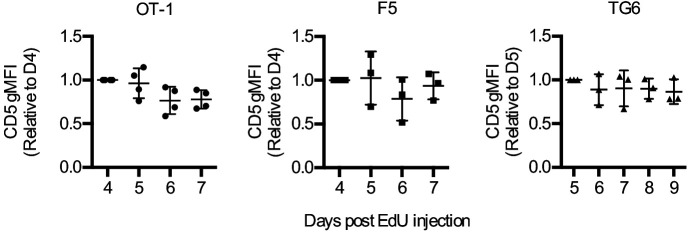 Figure 5—figure supplement 1.