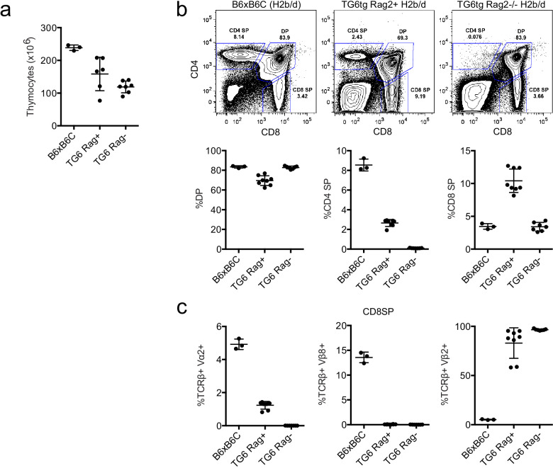 Figure 1—figure supplement 1.