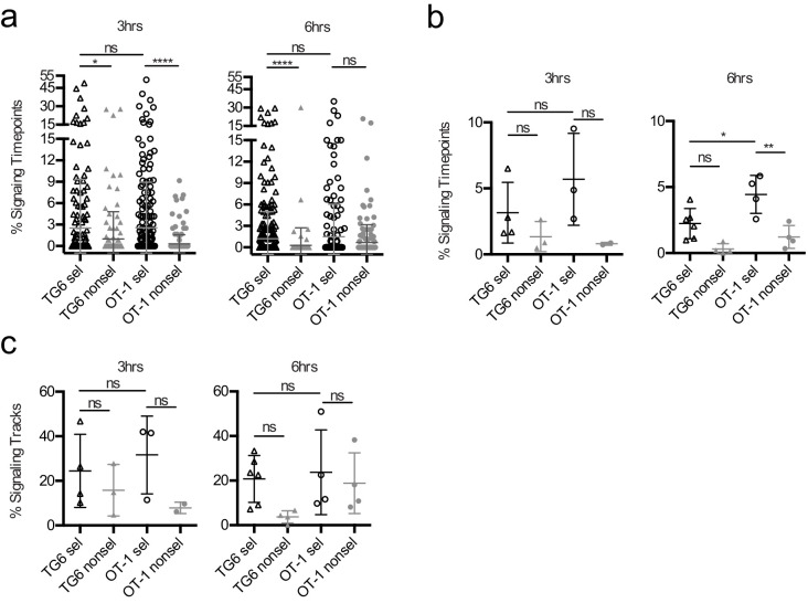 Figure 2—figure supplement 1.