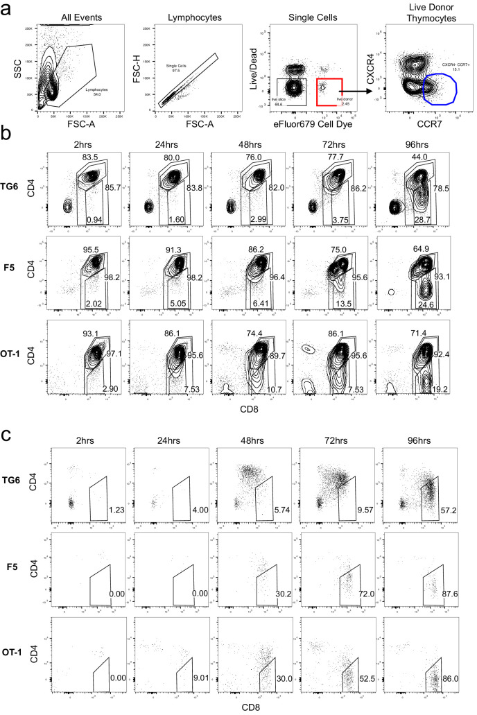 Figure 3—figure supplement 1.