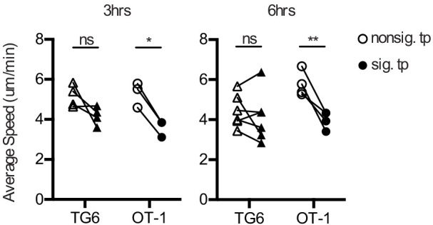 Figure 2—figure supplement 2.