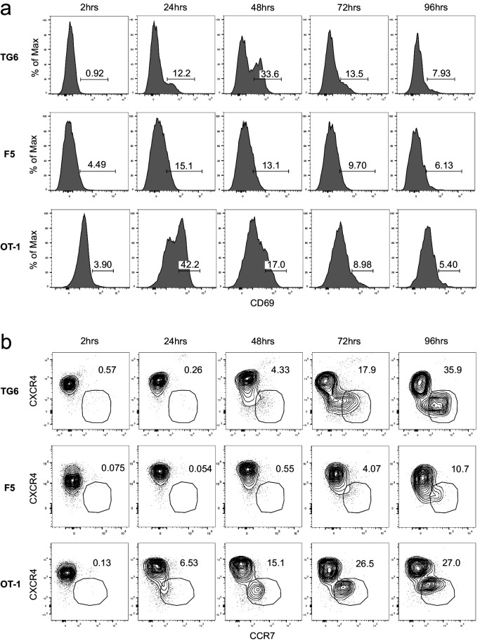 Figure 3—figure supplement 2.