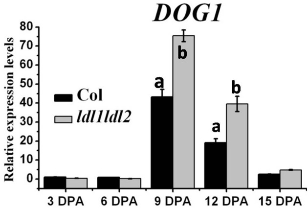 Figure 7