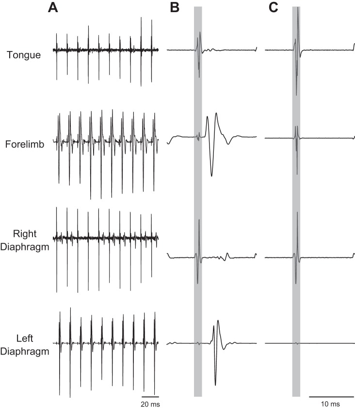 Fig. 2.