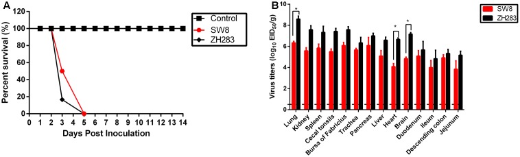 FIGURE 1