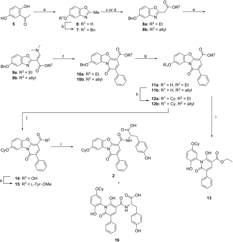 Scheme 1