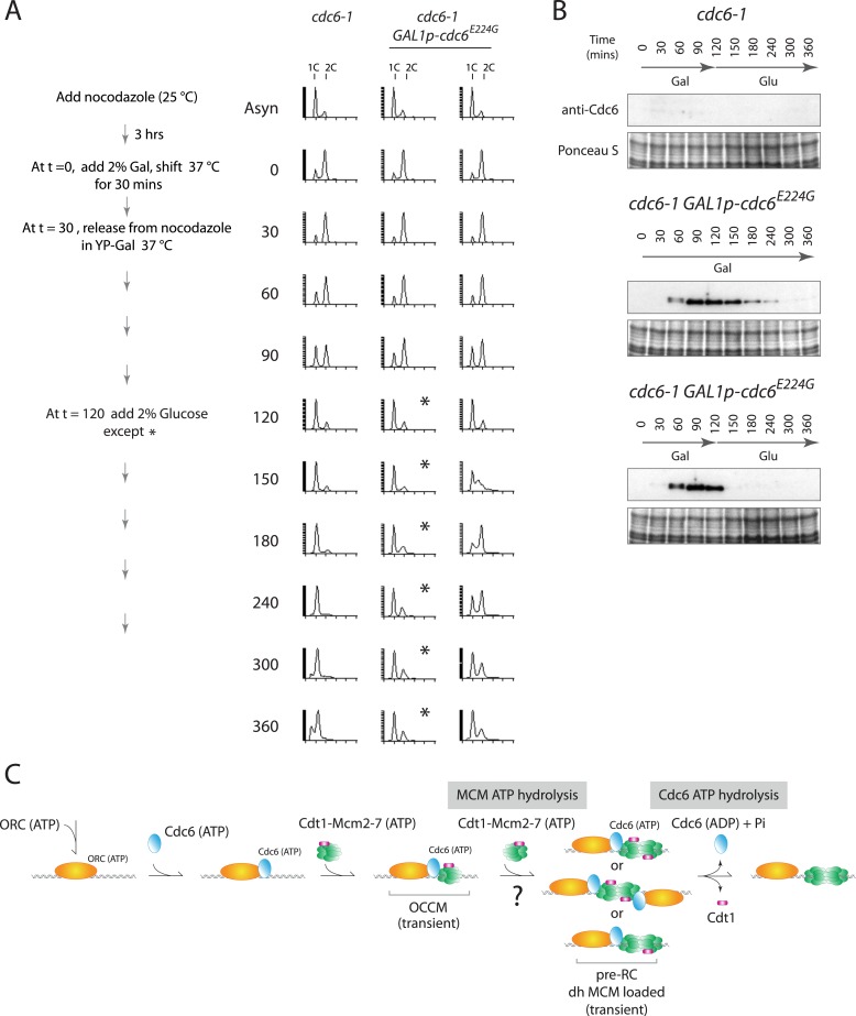 Figure 5.