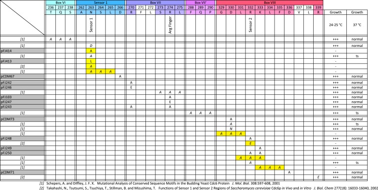 Figure 5—figure supplement 1.