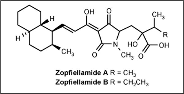 Figure 12