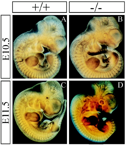 FIG. 6.