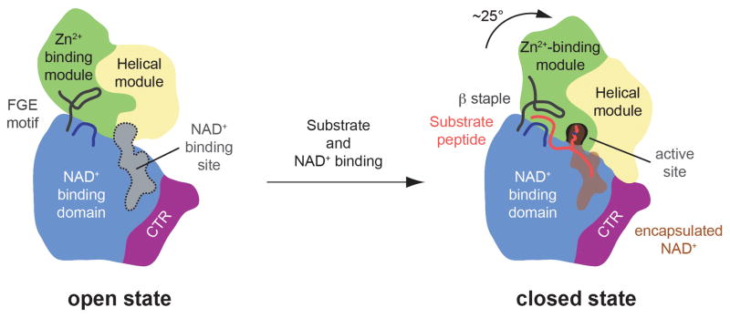 Fig. 9