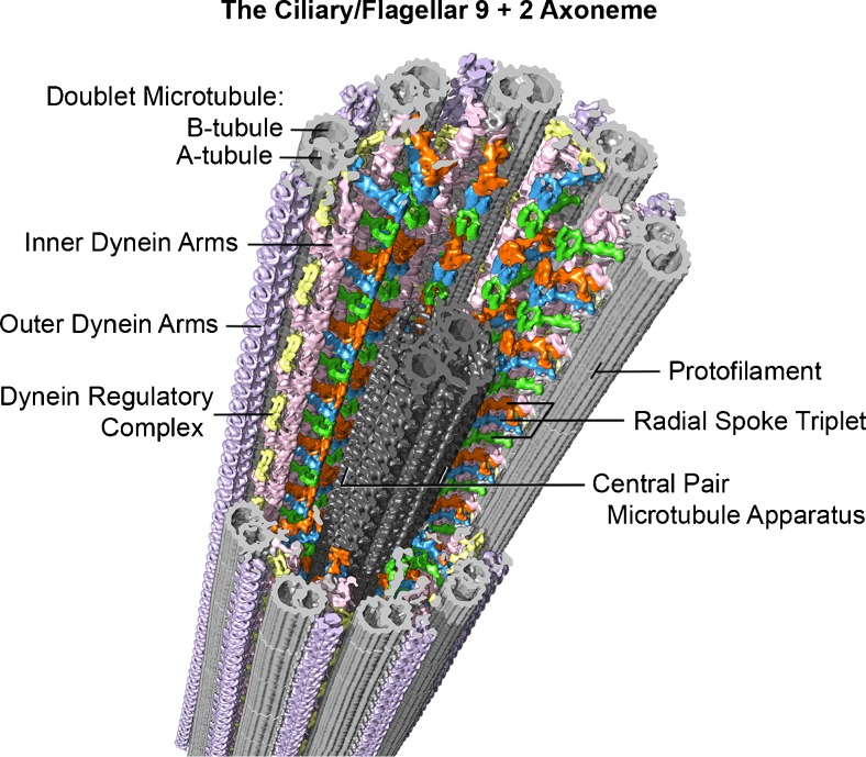 Fig. 3