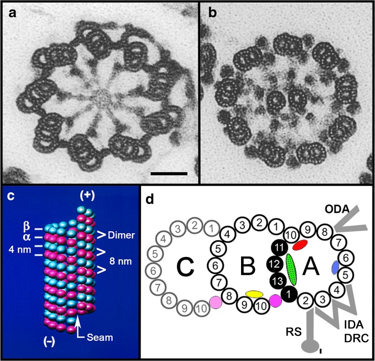 Fig. 2