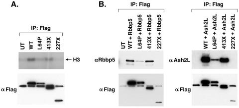 FIG. 6.