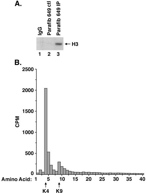 FIG. 7.