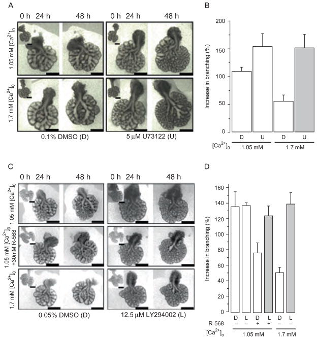 Figure 3.9