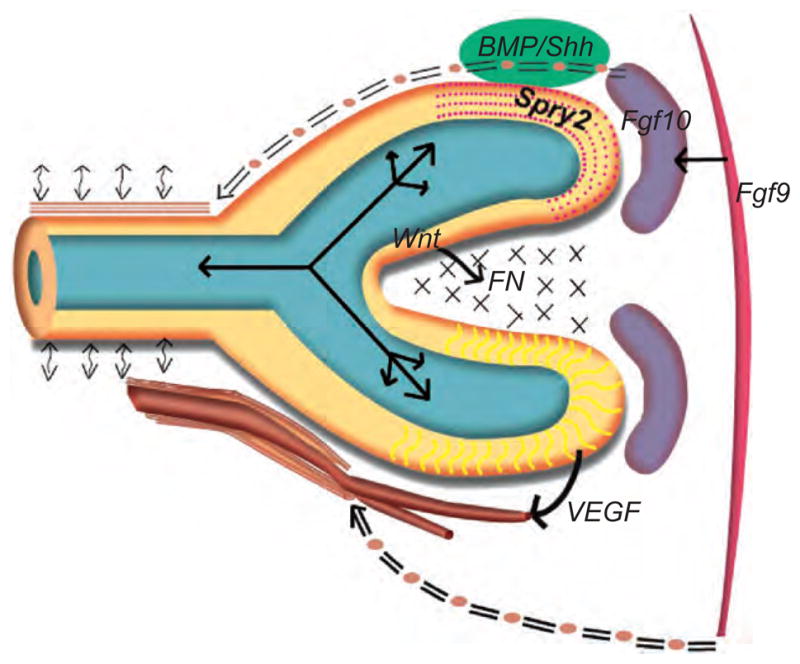 Figure 3.4