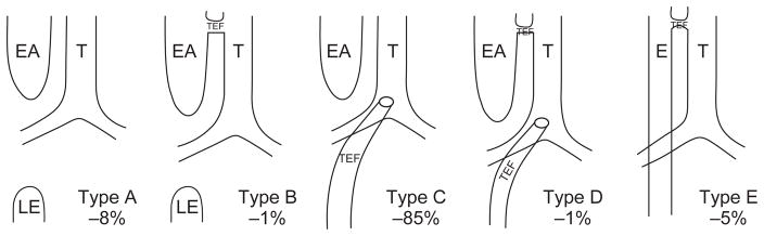 Figure 3.5