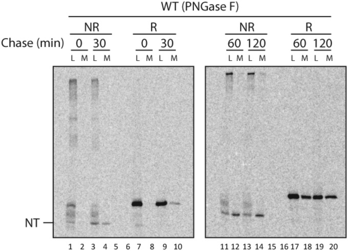 Fig. S3.