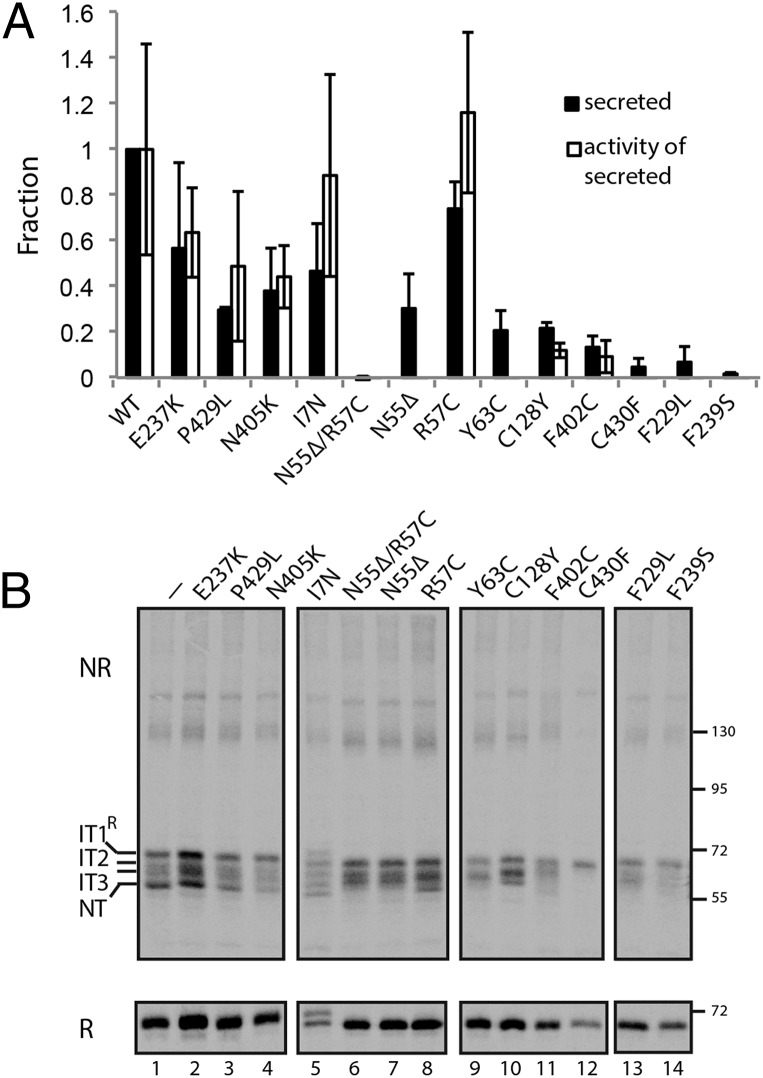 Fig. 4.