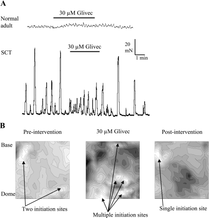 Fig. 8.