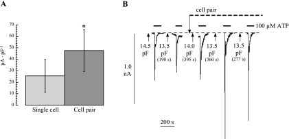 Fig. 5.