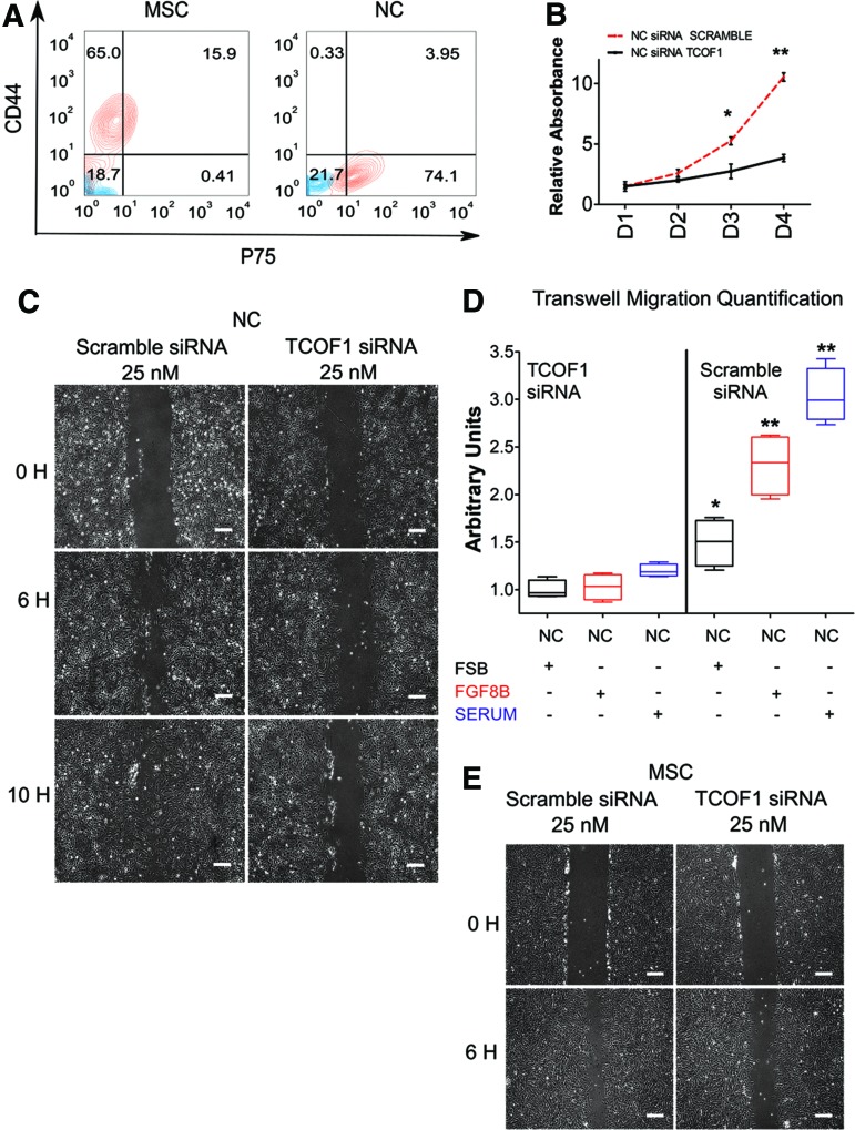 FIG. 6.