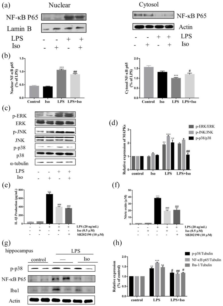 Figure 11.