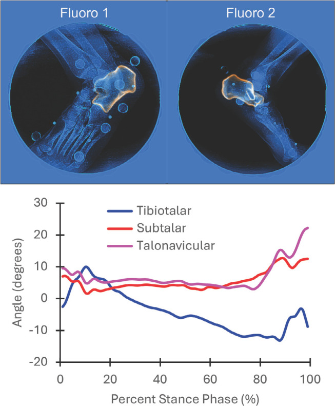 Figure 2.