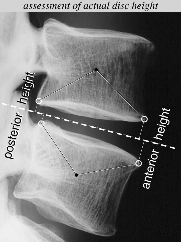 Fig. 1