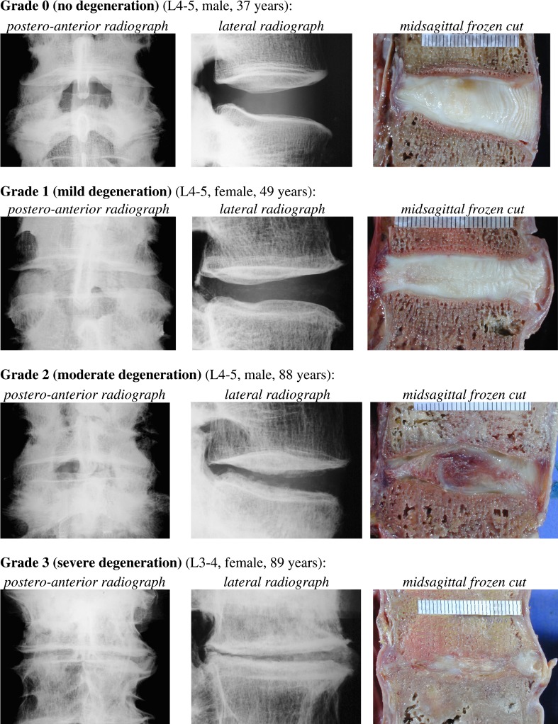 Fig. 6