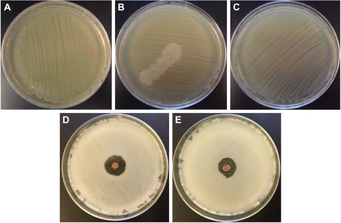 Figure 11