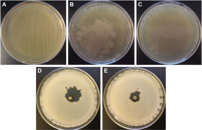 Figure 10