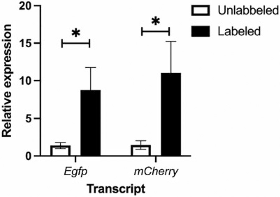 Fig. 2